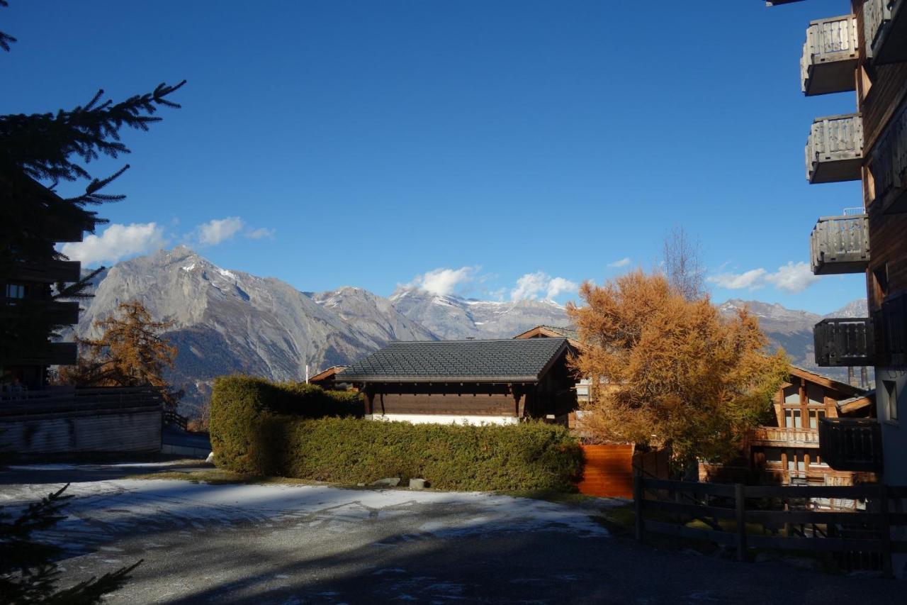 Pracondu Outdoor & Fun Appartement 1 Chambre Avec Balcon By Alpvision Residences Nendaz Εξωτερικό φωτογραφία